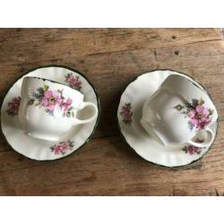 Pagnossin Earthware servies italy