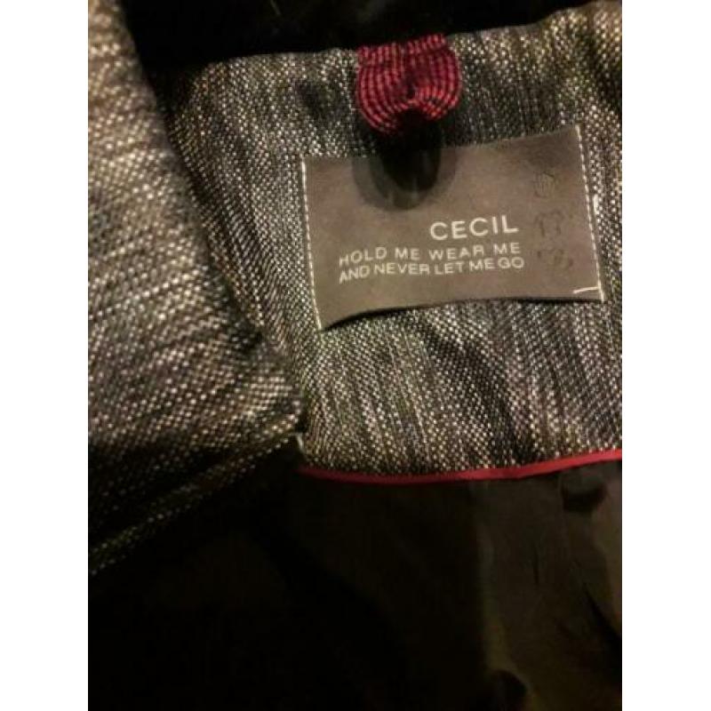 Cecil ? halflange warme winterjas maat xxl nieuw