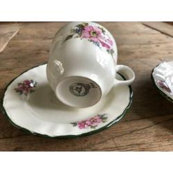 Pagnossin Earthware servies italy