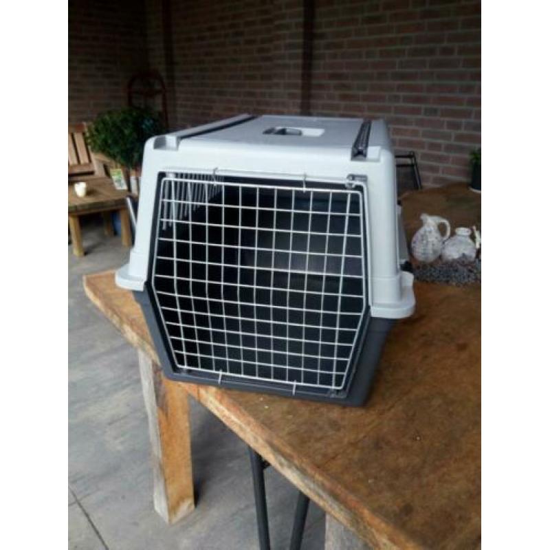 Transportbox groot