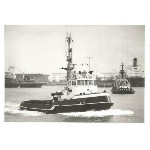 Foto sleepboot Maasbank van Smit ca 1970