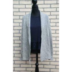 Dames vest grijs