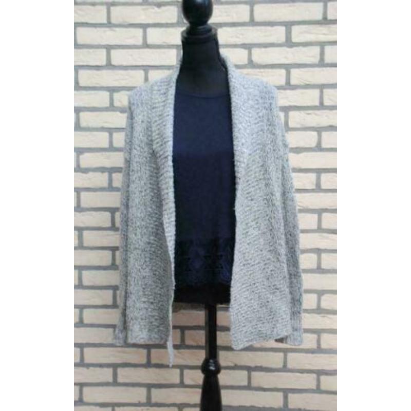 Dames vest grijs