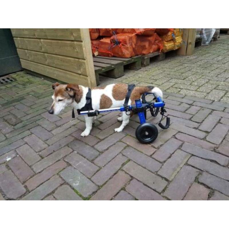 Rolstoelen