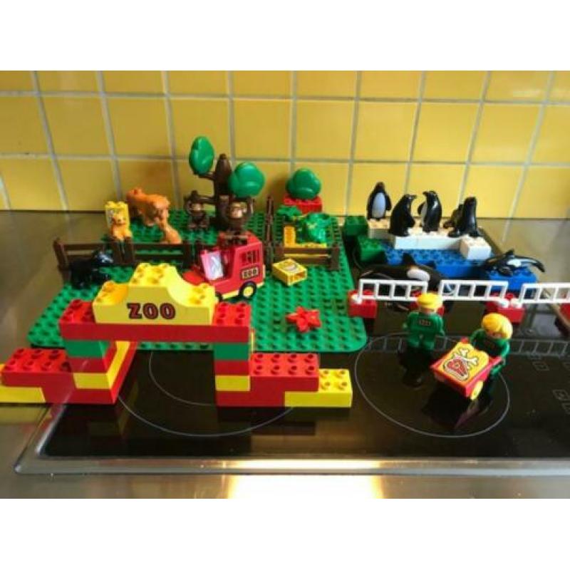 Duplo grote dierentuin, film safari en tijgers/panda