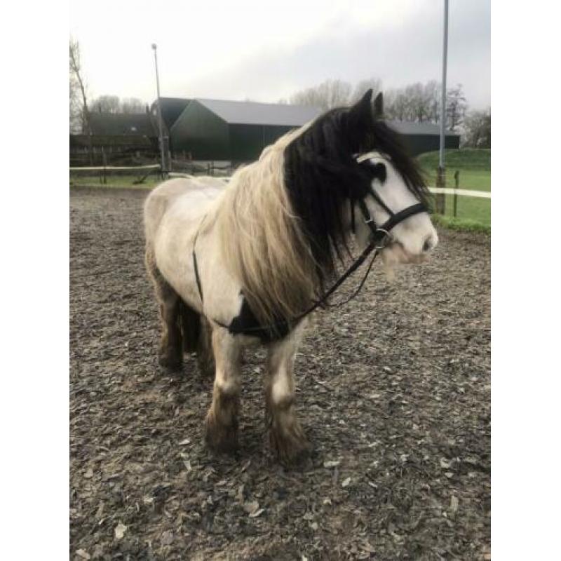 Tinker ruin