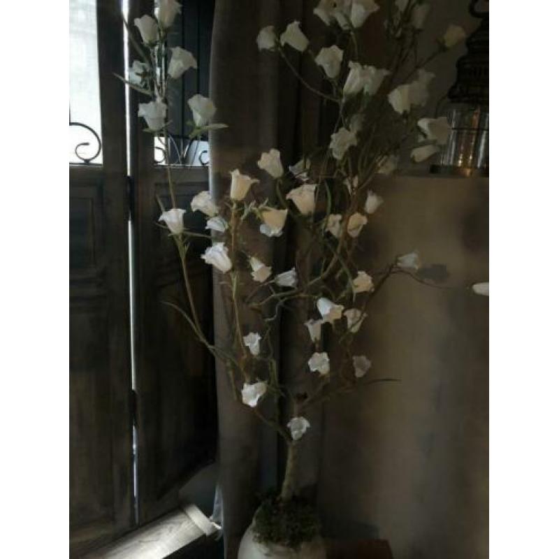 Bloesemboom met zijde bloemen, betonnen pot
