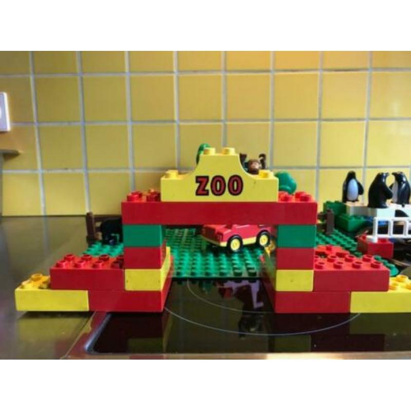 Duplo grote dierentuin, film safari en tijgers/panda