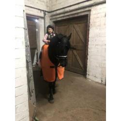 Lieve Kinderpony te koop!