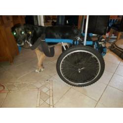 Rolstoelen