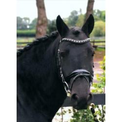 Lieve Kinderpony te koop!