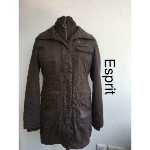 Esprit Winterjas (mt: 42) 1083/29,1