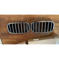 Grillen set / Nieren BMW X6 / model uit 2016
