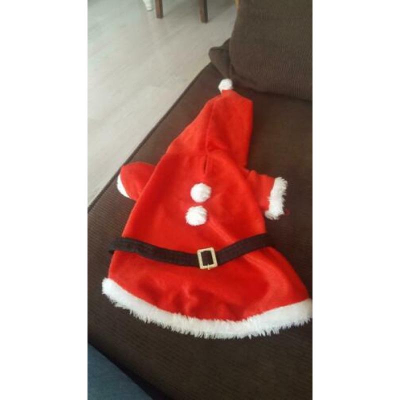 4 stuks hondenkleding te koop.