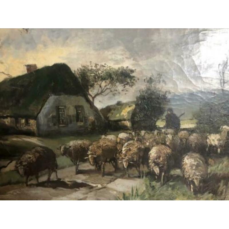 J.h. Webhoff?? Prachtig groot schilderij boer herder met sch