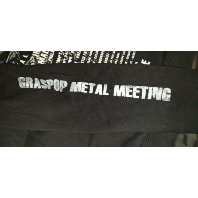 Graspop 2013