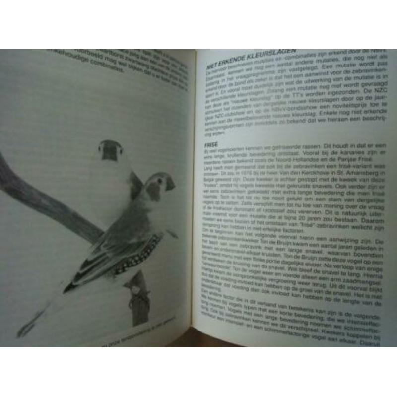 Boek De Zebravink.