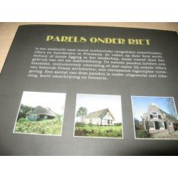 Piet Opdam Parels onder riet