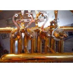 blaas instrumenten