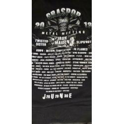 Graspop 2013