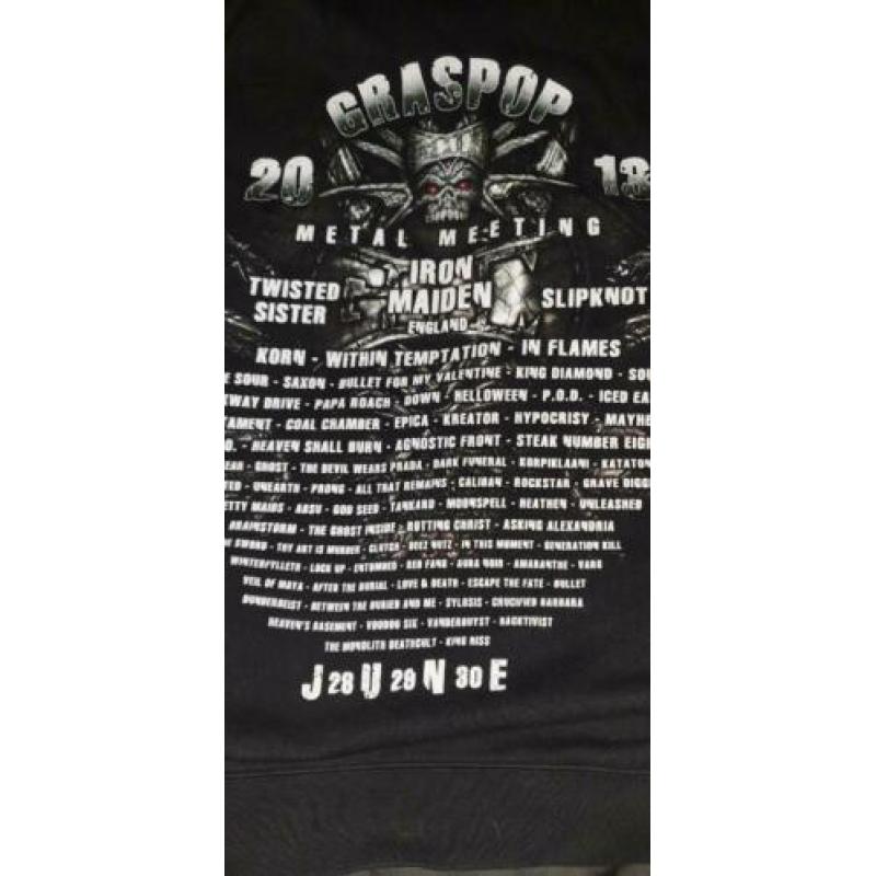 Graspop 2013