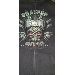Graspop 2013