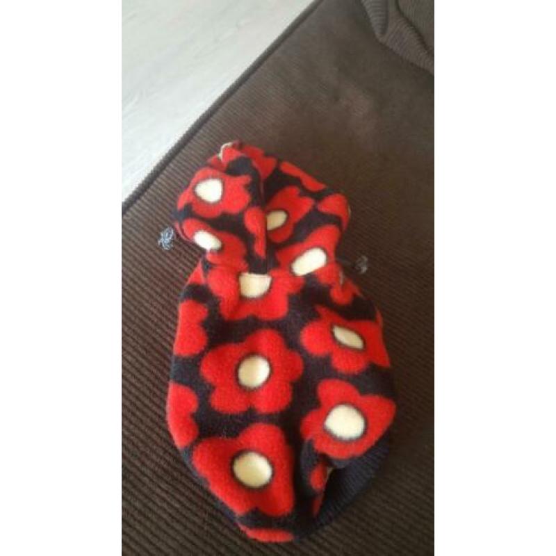 4 stuks hondenkleding te koop.
