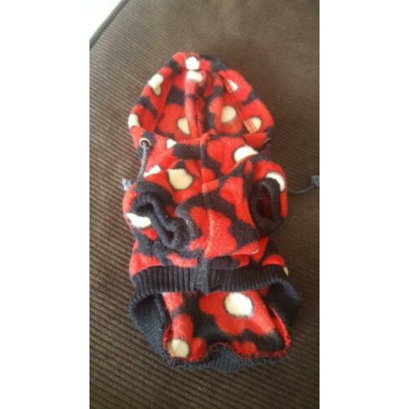 4 stuks hondenkleding te koop.