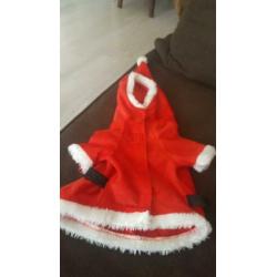 4 stuks hondenkleding te koop.