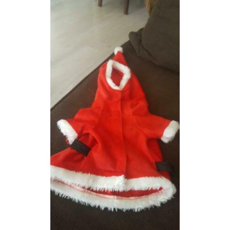 4 stuks hondenkleding te koop.