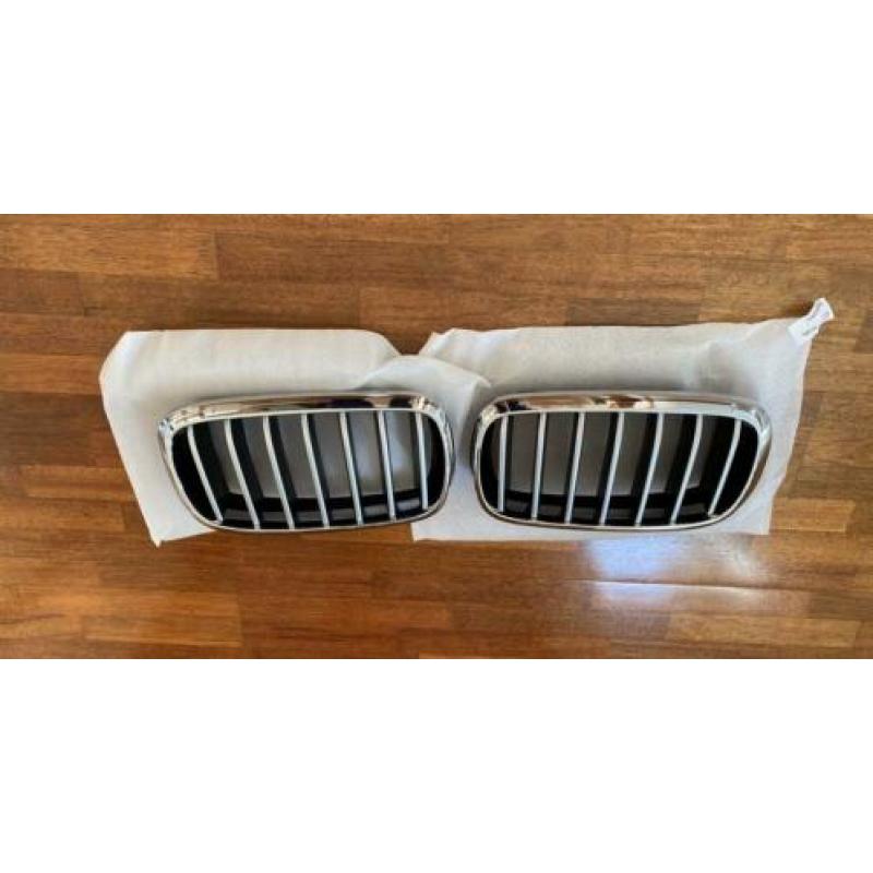 Grillen set / Nieren BMW X6 / model uit 2016