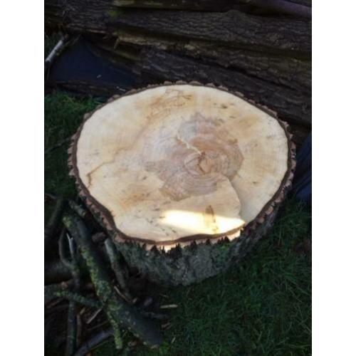 Grote houten schijven, 70 tot 80 cm doorsnede