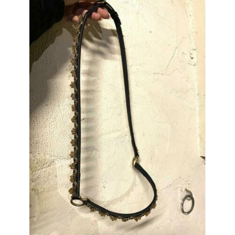 Arabisch Showhalster Adult