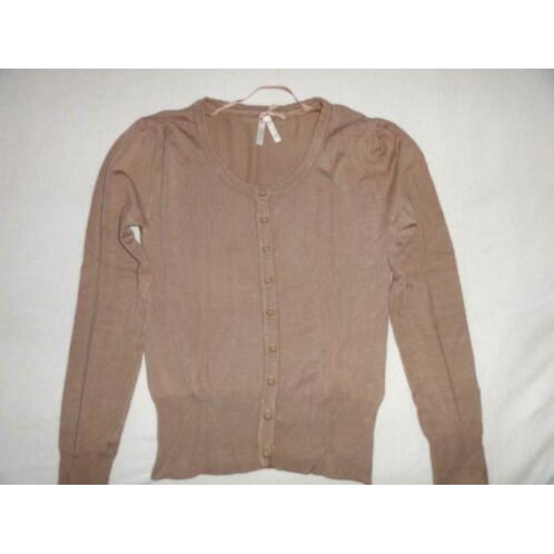 vestjes maat S
