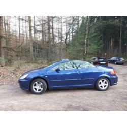 Peugeot 307 CC 2006 Blauw