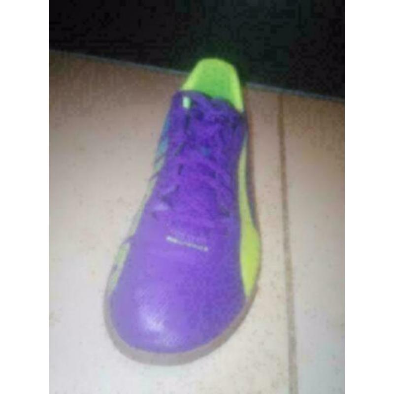 Puma evospeed 5 Zaalschoenen maat 40 (25,5cm)