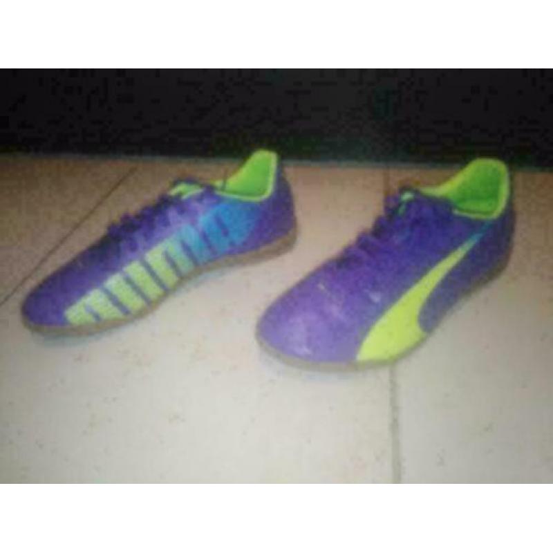 Puma evospeed 5 Zaalschoenen maat 40 (25,5cm)