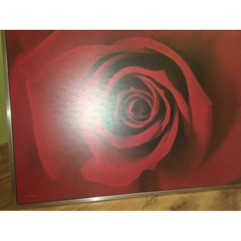 Grote Ikea Roos schilderij