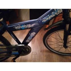 ZGAN Gazelle bikemachine 24 Inch 3V NW banden etc.