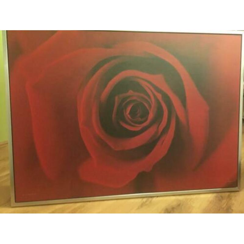 Grote Ikea Roos schilderij