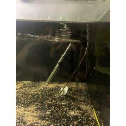 Op maat gemaakt aquarium voor l nummer 120x50x35