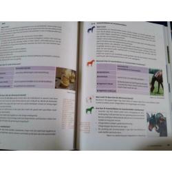EHBO Paard KNHS