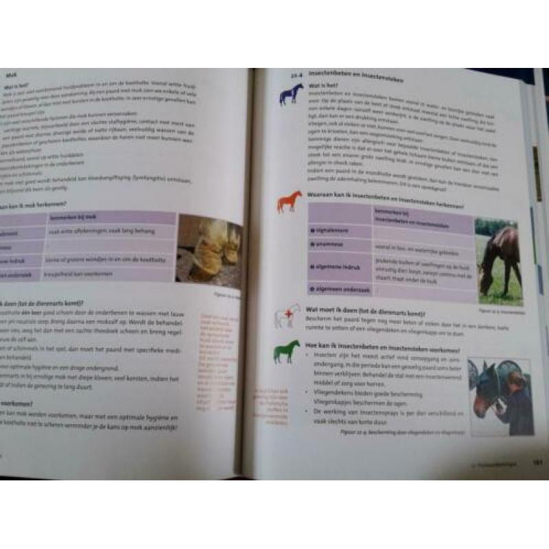 EHBO Paard KNHS