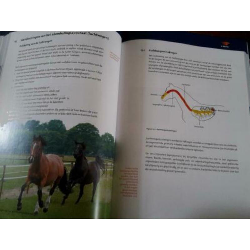 EHBO Paard KNHS