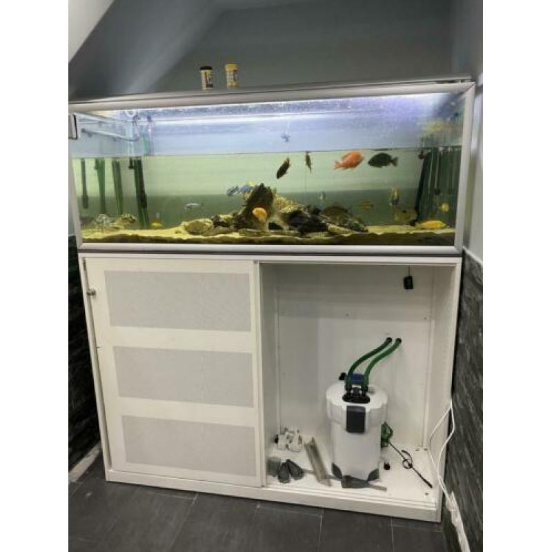 Vissen ? aquarium