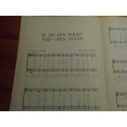 Ik zie een poort wijd open staan - Sankey / Bromet