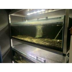 Op maat gemaakt aquarium voor l nummer 120x50x35