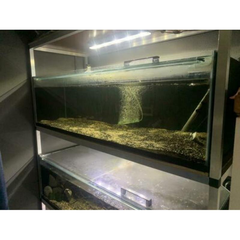 Op maat gemaakt aquarium voor l nummer 120x50x35