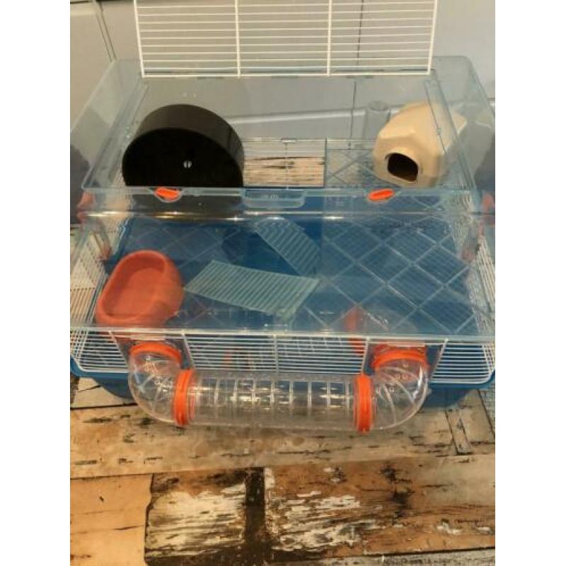 Hamsterkooi Ferplast Duna Fun