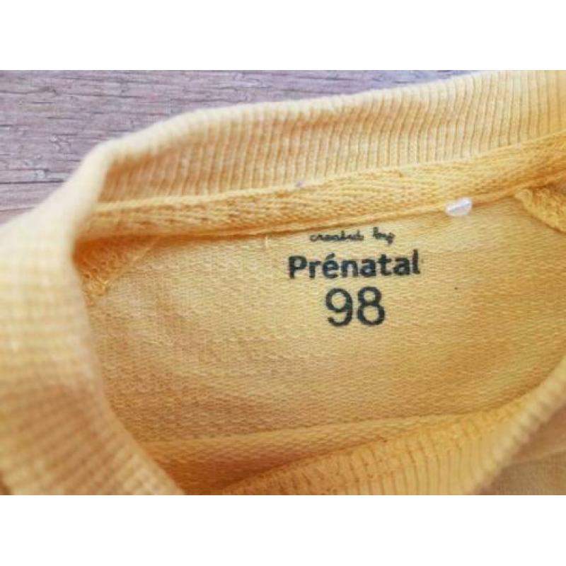 Mooie trui maat 98 Prénatal ZGAN